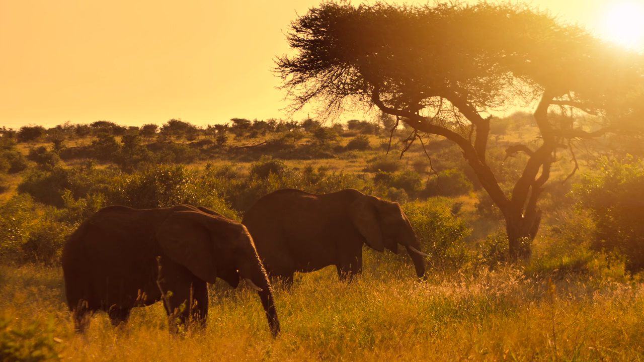 Zimbabwe